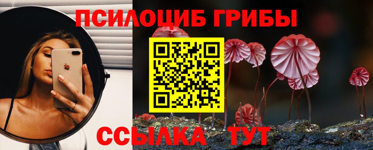 Галлюциногенные грибы мухоморы  Вход с VPN  хочу   Апшеронск  Псилоцибиновые грибы Cubensis 